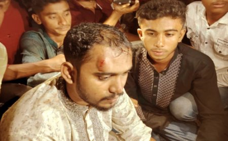 নিজ নির্বাচনী এলাকায় হামলার শিকার এমপি হান্নান মাসুদ