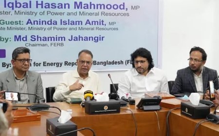 ঋণের দায় নেওয়ার চেয়ে লোডশেডিংয়ের কষ্টে থাকা ভালো: বিদ্যুৎমন্ত্রী