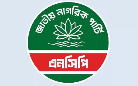 জুলাই গণ-হ-ত্যা ও গু-ম-এর বিচার পর্যবেক্ষণে এনসিপির ১৪ সদস্যের কমিটি গঠন; প্রধান হাসনাত আব্দুল্লাহ