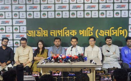 বিএনপি আদালতের মাধ্যমে সংস্কারকে বাধাগ্রস্ত করছে : আসিফ মাহমুদ
