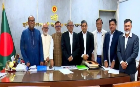 সিটি ও জেলা পরিষদ কি বিএনপি নেতাদের পুনর্বাসন কেন্দ্রে পরিণত হলো