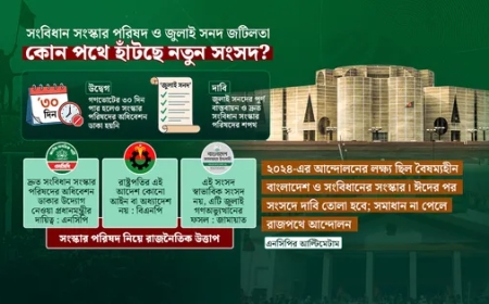 সংসদে সমাধান না হলে রাজপথ বেছে নেব: এনসিপি