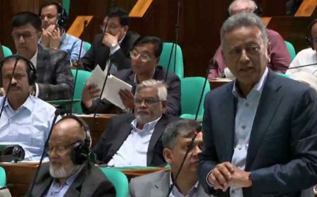‘২০৩৪ সালের মধ্যে দেশকে ট্রিলিয়ন ডলারে উন্নীতকরণের কাজ চলছে’: অর্থমন্ত্রী