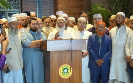 সব শেষ করে দেওয়ার অপকৌশল নিয়েছে সরকারি দল: ডা. শফিকুর রহমান