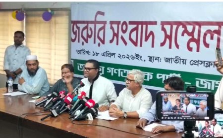 বিএনপির কিছু সংখ্যক কর্মী 'কুলাঙ্গার' শব্দের অর্থ ঠিকমতো উপলব্ধি করতে পারেনি: রাশেদ প্রধান