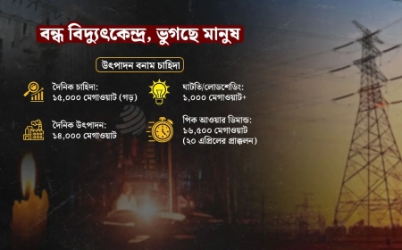জ্বালানি সংকটে ১৮ বিদ্যুৎকেন্দ্র বন্ধ, লোডশেডিংয়ে বেশি ভুগছে গ্রাম