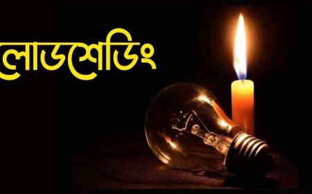 গ্রামে ৮ থেকে ১৩ ঘণ্টা বিদ্যুৎ থাকে না: লোডশেডিংয়ে বিপর্যস্ত দেশ