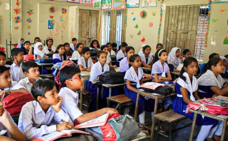 প্রাথমিক শিক্ষার্থীদের বিনামূল্যে স্কুল ব্যাগ ও ড্রেস দেবে সরকার
