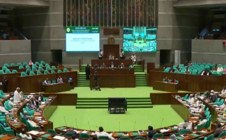 দ্রুতই স্থানীয় সরকার নির্বাচন, নতুন ২ বিভাগ গঠনের সুপারিশ: সংসদে মির্জা ফখরুল