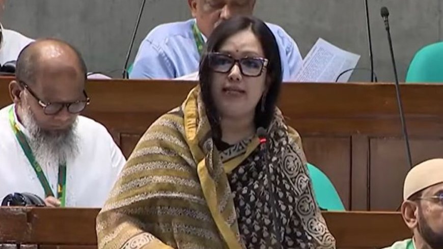 আমার এলাকার হাসপাতাল নিজেই রোগীর মতো: রুমিন ফারহানা