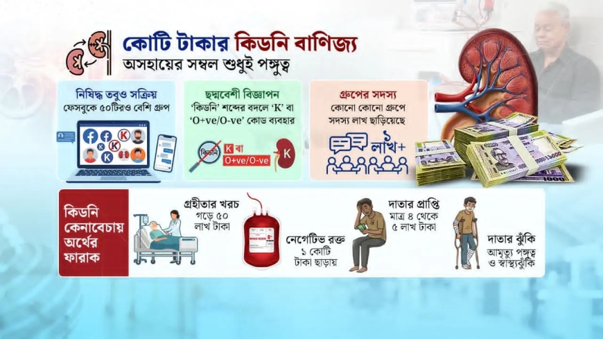 সবার চোখের সামনে কিডনি কেনাবেচার জমজমাট হাট: মানবপাচার ও অঙ্গ বাণিজ্যের ভয়াবহ রূপ