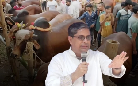 পশুর হাটে চাঁদাবাজি রুখতে কঠোর হুঁশিয়ারি: গাবতলীতে প্রতিমন্ত্রী মীর শাহে আলম