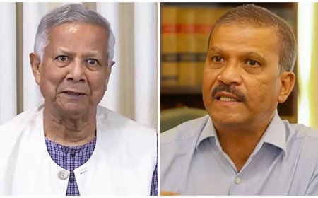 মাইলস্টোন ট্রাজেডি: ড. ইউনূস ও আসিফ নজরুলসহ ১৬ জনের বিরুদ্ধে মামলার আবেদন