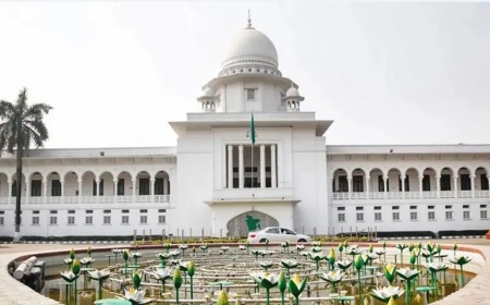 গর্ভের সন্তান ছেলে না মেয়ে তা প্রকাশ করা যাবে না: হাইকোর্টের রায় প্রকাশ