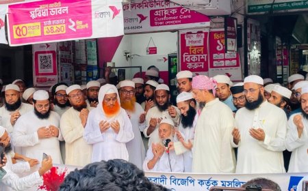 ভারতে মুসলিম নির্যাতন মানবাধিকার ও ধর্মীয় স্বাধীনতার লঙ্ঘন: হেফাজত আমির