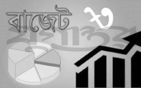 ঘাটতি বাজেট ও ঋণনির্ভরতা নিয়ন্ত্রণ: সরকারকে ‘ধার করে ঘি খাওয়া’ বন্ধের আহ্বান অর্থনীতিবিদদের