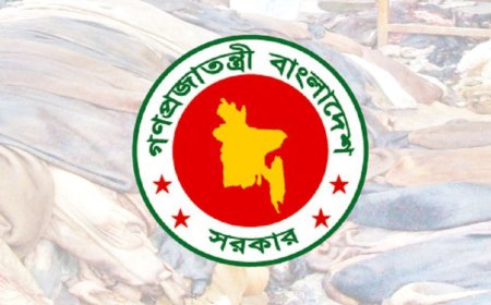 নির্ধারণ হলো কোরবানির পশুর চামড়ার দর