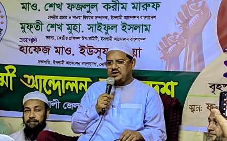 জুলাই গণঅভ্যুত্থানের প্রত্যাশা ফিকে হতে চলছে, দায়িত্ব সরকারকে নিতে হবে: পীর সাহেব চরমোনাই
