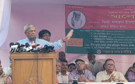 ভারতের সঙ্গে সুসম্পর্ক চাই, কিন্তু সীমান্ত হত্যা মেনে নেব না: মির্জা ফখরুল