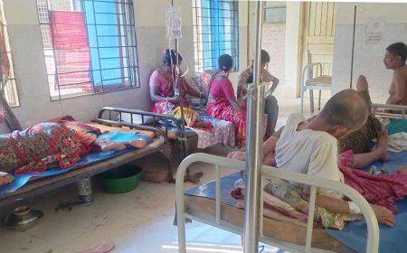 বাগেরহাটের চিতলমারীতে প্রচণ্ড গরমে বাড়ছে ডায়রিয়া রোগীর সংখ্যা