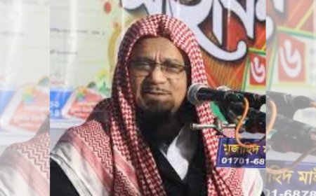 ইসলামিক ফাউন্ডেশনের নতুন মহাপরিচালক নিয়োগ পেলেন মুফতি মুহিব্বুল্লাহিল বাকী ​