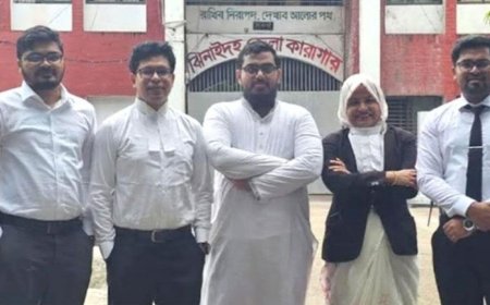 গ্রেফতারের পরদিনই জামিনে মুক্ত হলেন এনসিপি নেতা তারেক রেজা