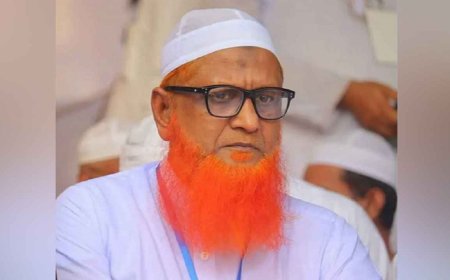ঈদে ঘরমুখো মানুষের হয়রানি রোধে সরকারের কার্যক্রম আরো দৃশ্যমান হতে হবে: অধ্যক্ষ ইউনুস আহমদ