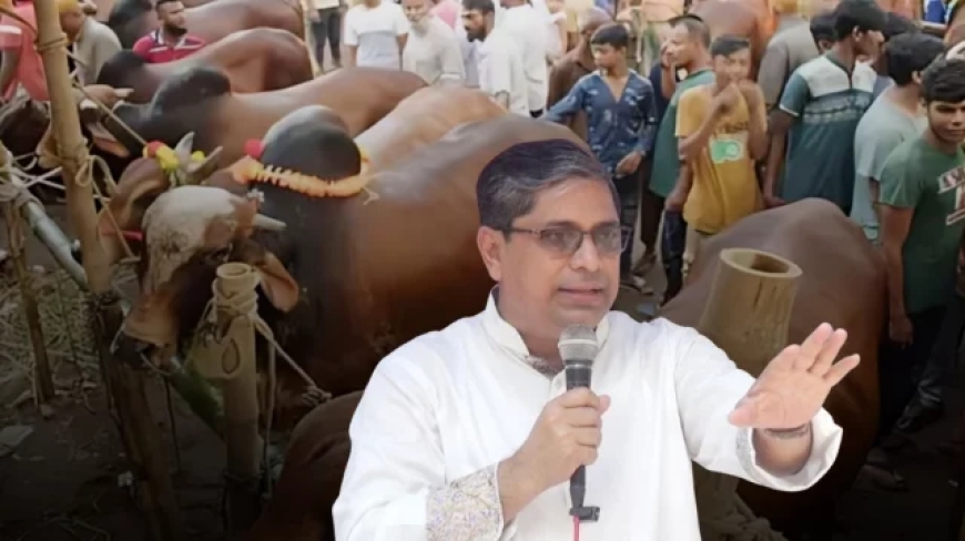 পশুর হাটে চাঁদাবাজি রুখতে কঠোর হুঁশিয়ারি: গাবতলীতে প্রতিমন্ত্রী মীর শাহে আলম