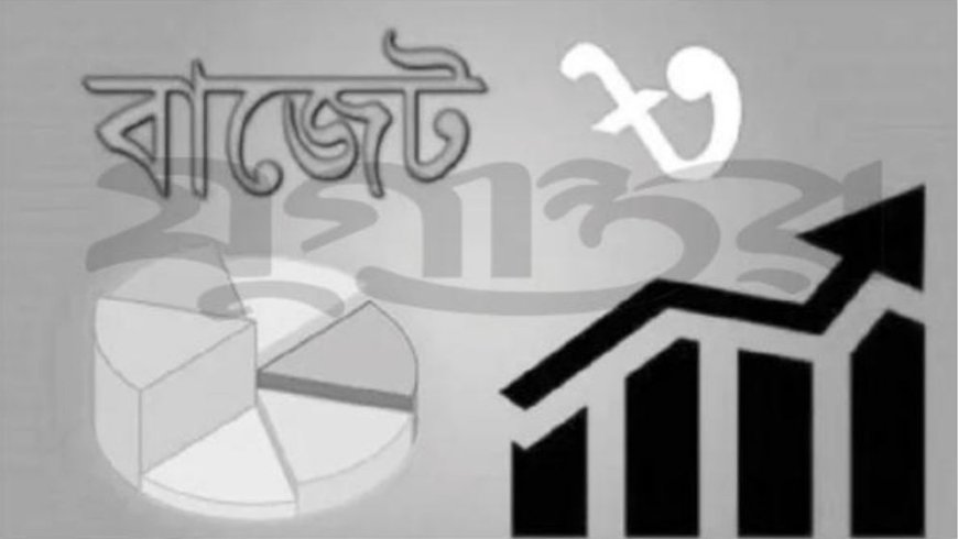 ঘাটতি বাজেট ও ঋণনির্ভরতা নিয়ন্ত্রণ: সরকারকে ‘ধার করে ঘি খাওয়া’ বন্ধের আহ্বান অর্থনীতিবিদদের