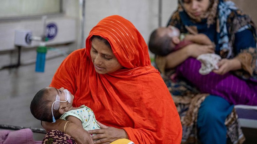 রেকর্ড মৃত্যুতে বাড়ছে আতঙ্ক: হাম ও উপসর্গে একদিনেই প্রাণ গেল আরও ১২ শিশুর