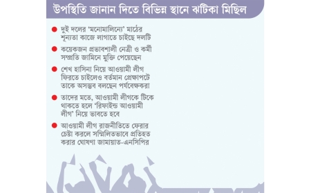 জামায়াত-এনসিপি ঠেকাতে মাঠে ফেরার ছক আ.লীগের: বিভেদের সুযোগে তৃণমূল গোছানোর গোপন মিশন