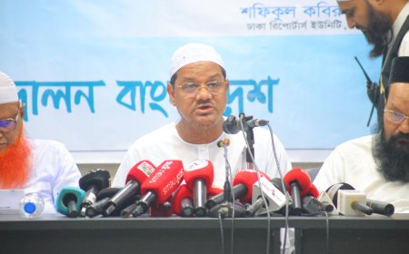 ‘বাজেট বাস্তবায়নে ছলচাতুরি ও অপচয়ের অধিকার জনগণ কাউকে দেয়নি’