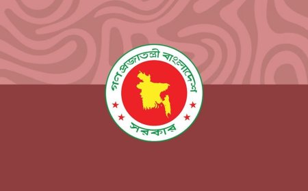এনসিটিবি ও ৫ শিক্ষাবোর্ডে নতুন চেয়ারম্যান পদে নিয়োগ পেলেন যারা