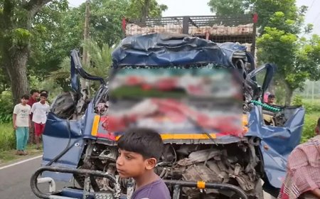 টাঙ্গাইলের সখীপুরে দাঁড়িয়ে থাকা ট্রাকে পিকআপের ধাক্কা, ৪ জন নিহত