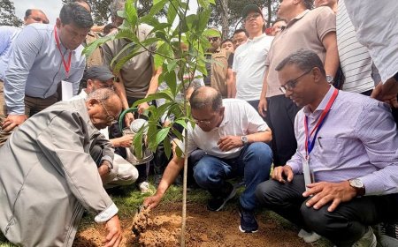 দেশব্যাপী ২৫ কোটি বৃক্ষরোপণ কর্মসূচির উদ্বোধন করলেন প্রধানমন্ত্রী তারেক রহমান