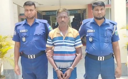 নাটোরে সংঘবদ্ধ ধর্ষণের শিকার গৃহবধূ, প্রধান আসামি গ্রেফতার