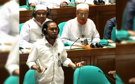 এটা শাহবাগ চত্বর নয়, জাতীয় সংসদ—হান্নান মাসউদকে ডেপুটি স্পিকার