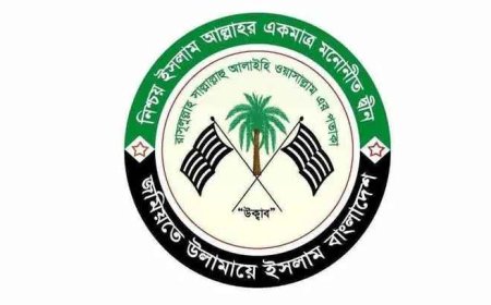 কওমি শিক্ষার্থীদের নিয়ে এমপি নিলুফা চৌধুরীর বক্তব্যের প্রতিবাদ জমিয়তের