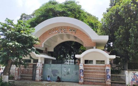 ঢাবির রোকেয়া হলে মাথায় কাঁঠাল পড়ে একজনের মৃত্যু