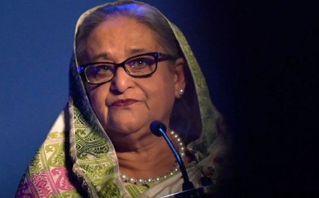 Ashikur হাসিনাকে ফিরিয়ে এনে ইলেকট্রিক শক দেওয়ার দাবি এমপি রেহানার