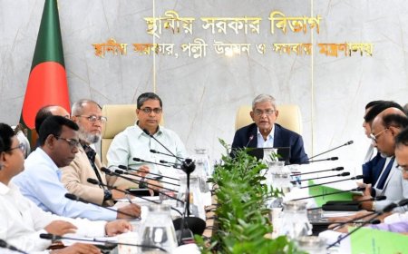 ডেঙ্গু প্রতিরোধে উচ্চ পর্যায়ের টাস্কফোর্স গঠন
