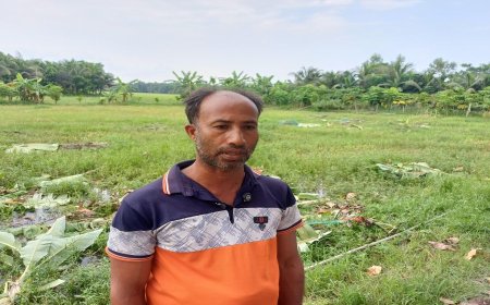 কৃষকের লক্ষাধিক টাকার গাছ কাটার অভিযোগে বিএনপি নেতাসহ ৭ জনের বিরুদ্ধে মামলা