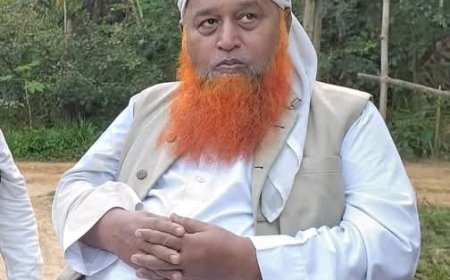 নারায়ণগঞ্জ বন্দরের বিশিষ্ট আলেম হাফেজ মাওলানা রফিকুল ইসলাম কাসেমীর ইন্তেকাল; আজ বাদ জোহর জানাজা