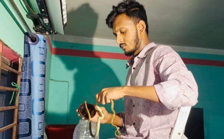 বরিশালে ঘরের এসির ভেতর থেকে ৪টি জ্যান্ত সাপ উদ্ধার