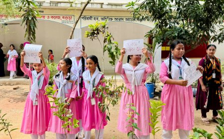 গাছ লাগানোর বার্তা ছড়িয়ে দিতে নবজাগরণ ফাউন্ডেশনের ব্যতিক্রমী উদ্যোগ