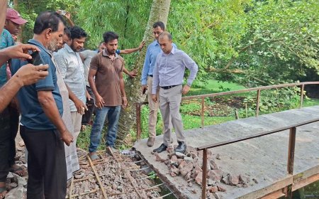 আগৈলঝাড়ায় ব্রিজে রডের বদলে বাঁশের কঞ্চি, হাতেনাতে ধরে ভেঙে দিল প্রশাসন