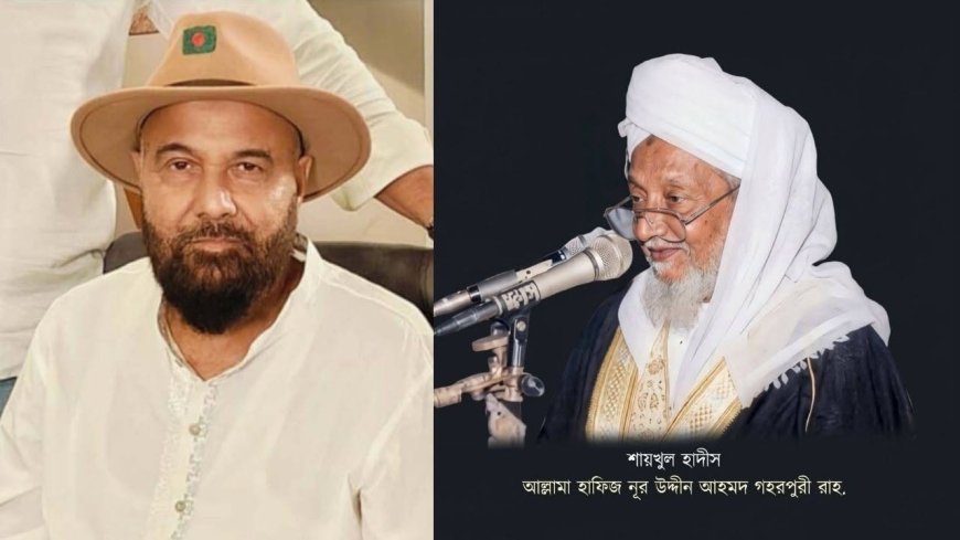 আল্লামা গহরপুরীকে নিয়ে মন্তব্য: সমালোচনার মুখে এমপি এম এ মালেকের দুঃখ প্রকাশ