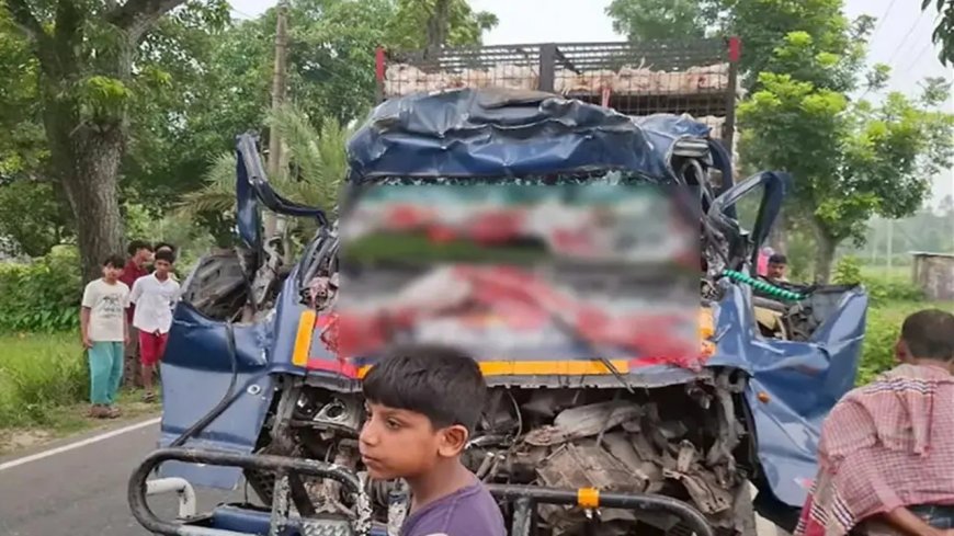 টাঙ্গাইলের সখীপুরে দাঁড়িয়ে থাকা ট্রাকে পিকআপের ধাক্কা, ৪ জন নিহত