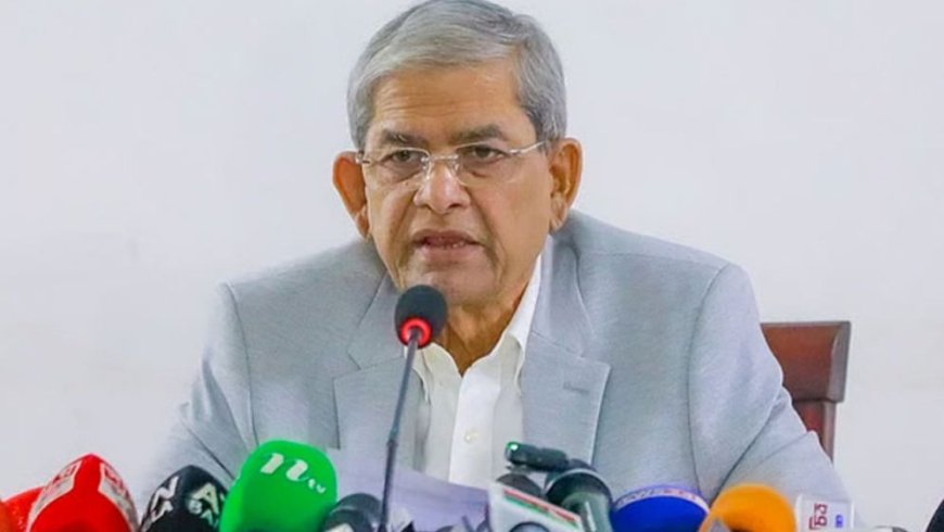 বাজেটে এত বড় ছাড় আগে দেখতে পাইনি: মির্জা ফখরুল