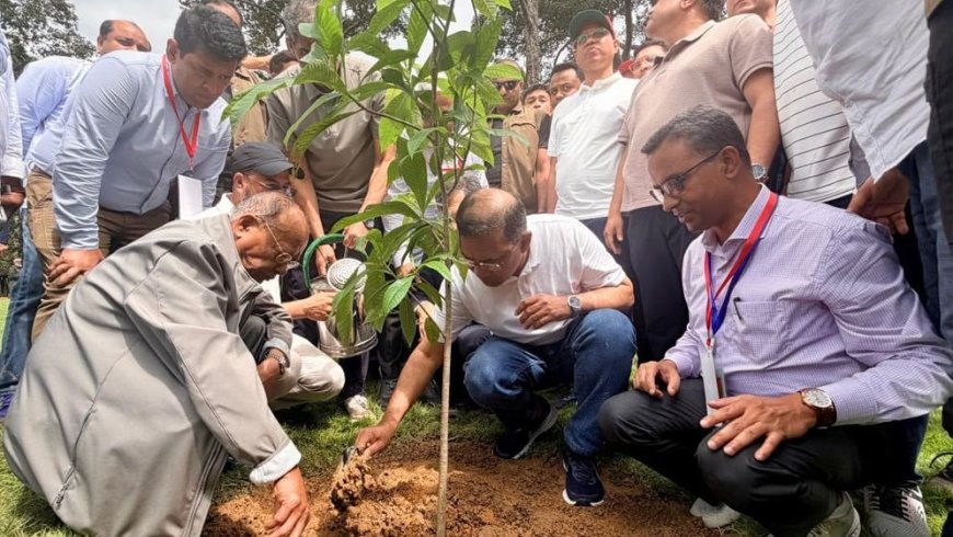 দেশব্যাপী ২৫ কোটি বৃক্ষরোপণ কর্মসূচির উদ্বোধন করলেন প্রধানমন্ত্রী তারেক রহমান